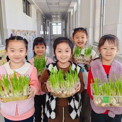 你好，冬天🌨☃️！(实验小学幼儿园大三班☀初冬故事记)