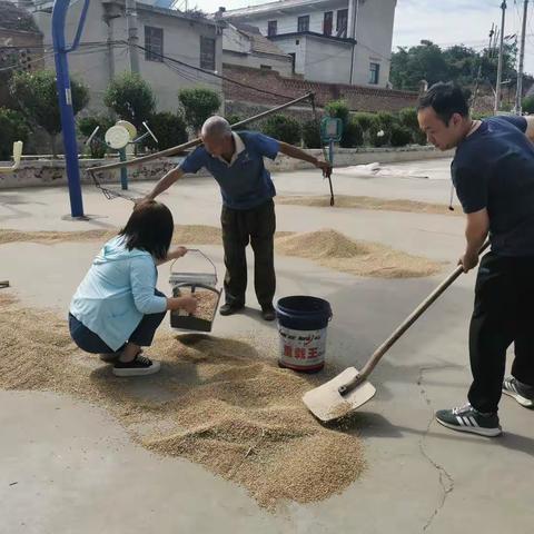 鹤山区:干群联户助“三夏”真情帮扶解民忧