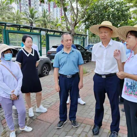 市政府领导调研白水塘水环境治理工作