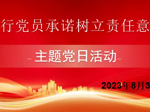 平泉市城东小学8月份主题党日活动