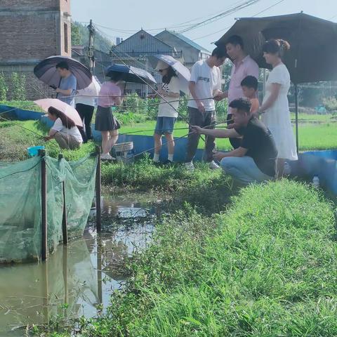 趣味钓虾，劳动实践助成长