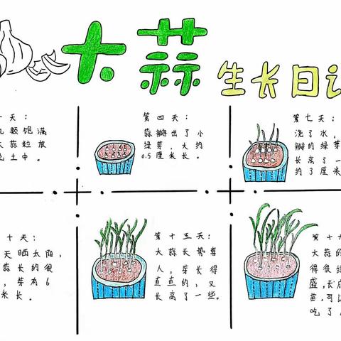 在生活中学习语文，在语文中感悟生活——记镇安县第二小学五三班实践作业