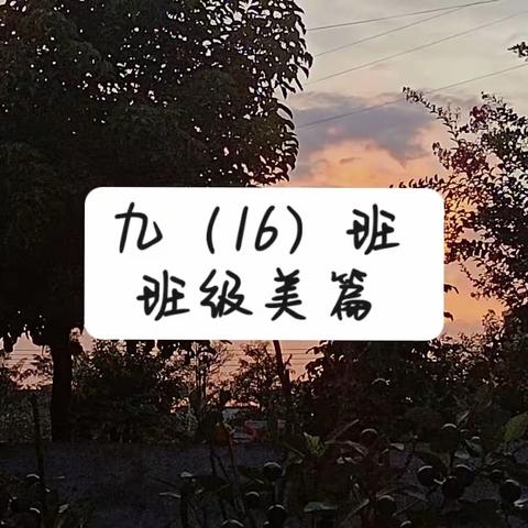 【第九周】九（16）班班级美篇