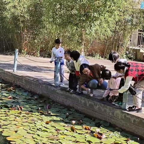 遇见小蝌蚪 —普安县南湖二幼大三班课程故事