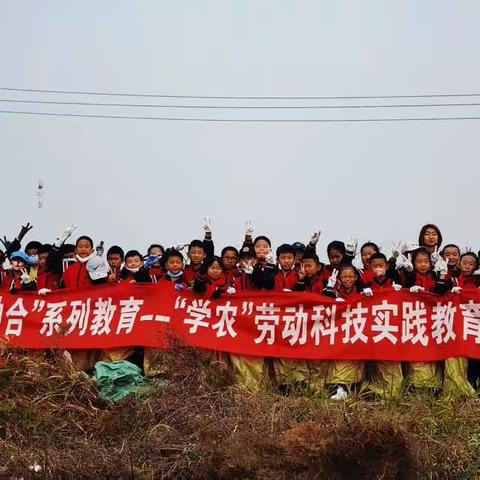 爱劳动,劳动美，职普融合 一垦利区第二实验小学四年级八班“学农”劳动科技实践教育活动