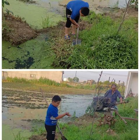 “悦”劳动越快乐，“悦”阅读越收获，黄梅县第八小学二（六）班石佳鑫