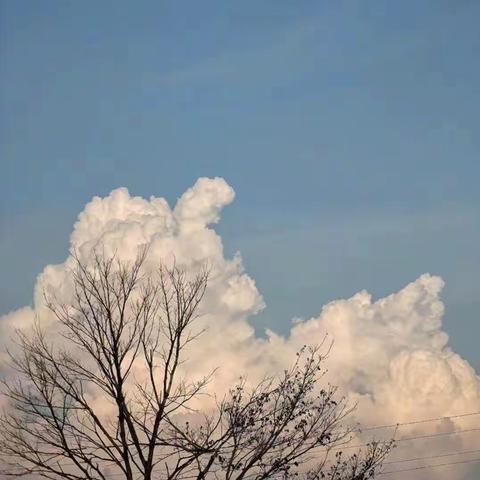 名师听评助提高，深耕课堂共成长——省骨干教师李维林听评公开课