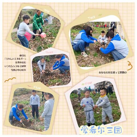 “相逢植树节，爱在春风里”——贵州爱希尔教育植树节活动