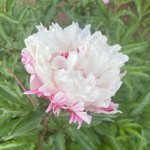 秀劳动技能 展劳动风采——东荒峪镇后韩庄学区劳动技能大赛