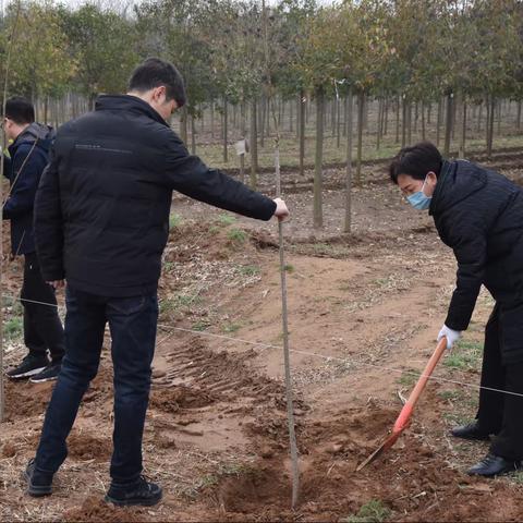 不负春光添新绿——木栾街道开展义务植树活动