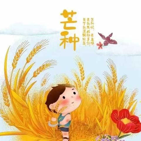 【芒种至 仲夏始】——平邑街道中心幼儿园一园二十四节气之芒种