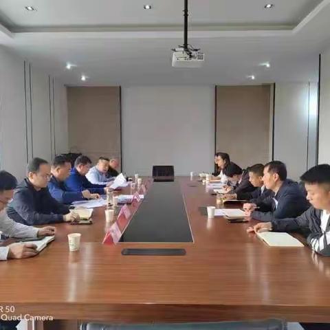 项目策划专班召开专班专题会