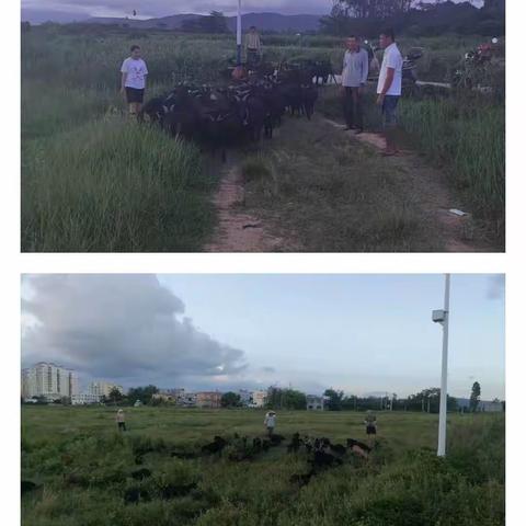 提蒙村开展乡土人才在田间地头上课