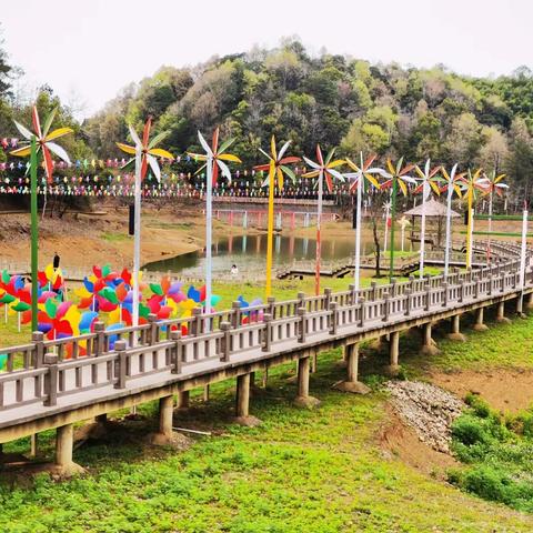 研于行，学于心，最美课堂在路上 ——南山学校九（6）班研学之旅