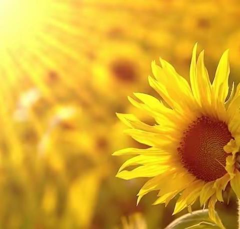 实习进行时——第二周·鹰潭市第十四小学