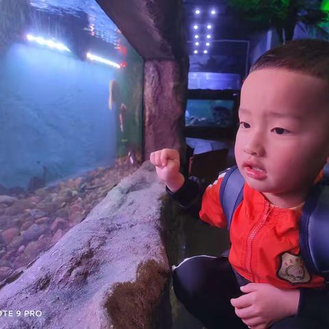 宇阳小盆友的幼儿园生活日常😎