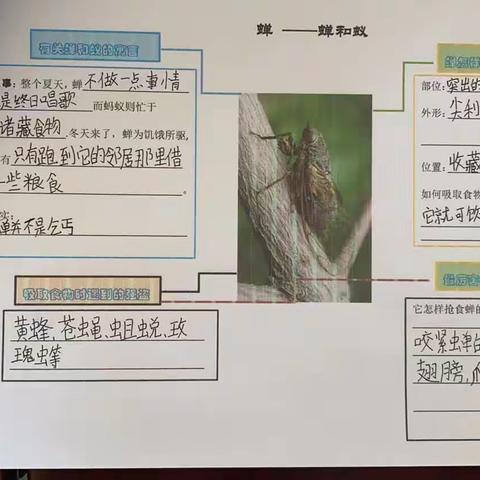 文学社团过程性资料