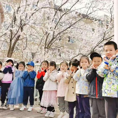 贝斯特幼儿园中四班3月第五周🍀成长记录🍀