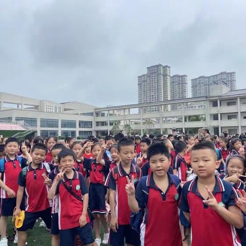 花草香，少年游，夏日研学正当时