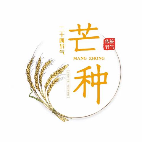 芒种｜“常中藏趣，踏实生长”——安宁市广州新雅幼儿园二十四节气教育活动