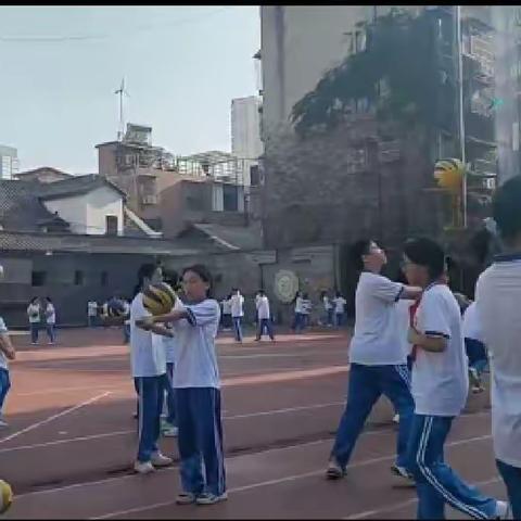 夏天里的排球比赛