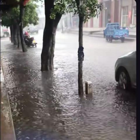 暴雨后的“最美背影”