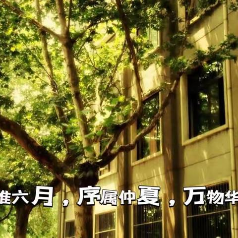 课型探讨携手共进，凝“新”聚力论道教学—2023年“品质教育·马山好课堂”校本研修大操练（加方学区）