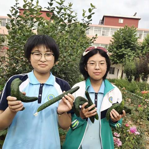 “瓜”趣横生！——邢台市第二十六中学初三毕业班一节特殊的劳动实践教育课