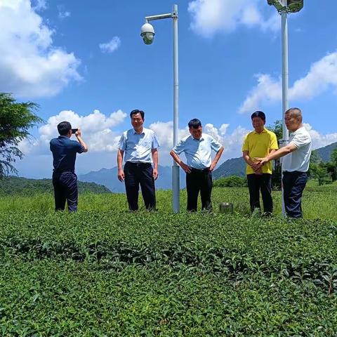 市海峡两岸茶业交流协会刘文标会长到平和县走访会员企业