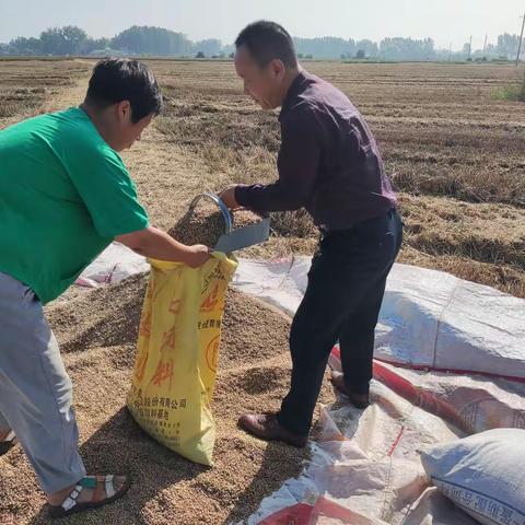 侯集镇：人大代表深入一线 助力“三夏”生产