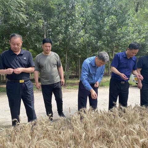 开封市城管局赴尉氏县十八里镇前滹沱村调研指导“三夏”生产工作