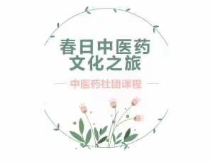 中医药社团课程汇报