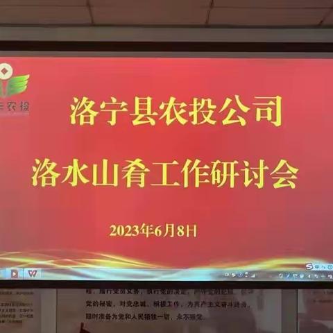 县农投公司召开洛水山肴工作研讨会