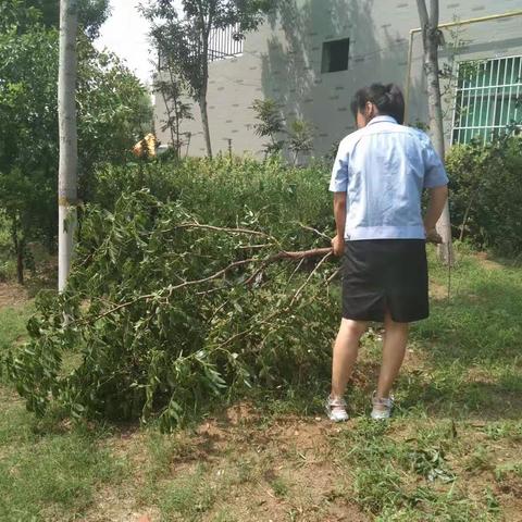 修剪与清理