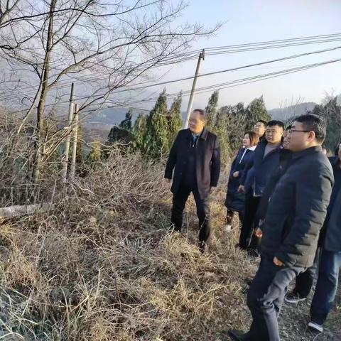 金台区委书记、区总林长薛建恩指导森林防火工作及开展巡林调研