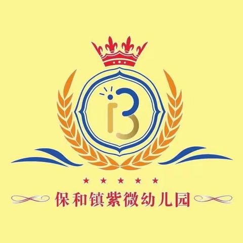 保和镇紫微小学附属幼儿园招生公告