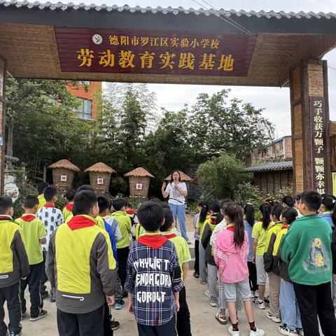 逐劳动之光，扬时代之帆   罗江区实验小学四年级一班劳动实践活动