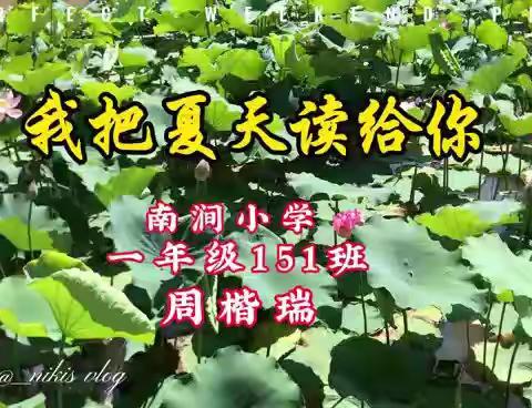 我把夏天读给你——              南涧小学一年级151班（第一期）