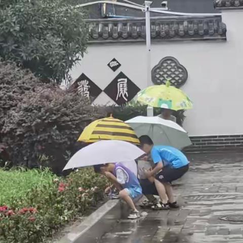 《夏天的雨》