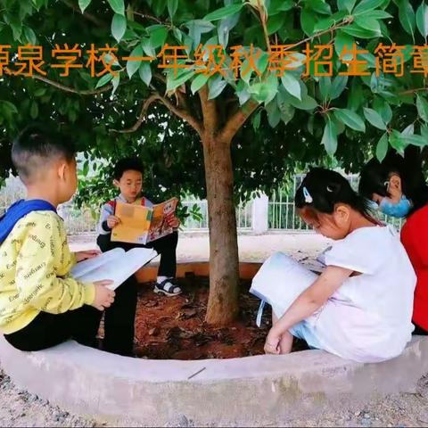 源泉学校一年级报名开始啦