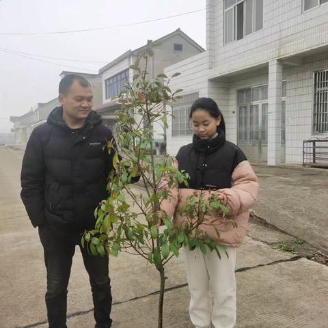 小手拉大手，全民植绿谱新篇