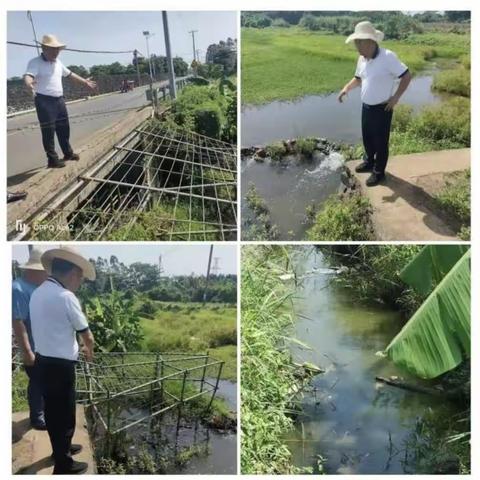 秀英区河湖长制每日工作动态（6月16日）