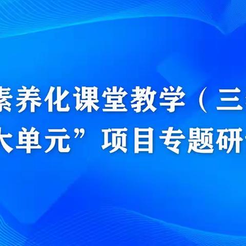 聚焦大单元 共酿“大智慧”——泗阳县素养化课堂教学（三学范式）“大单元” 项目专题研讨会