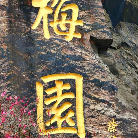 梅园春早