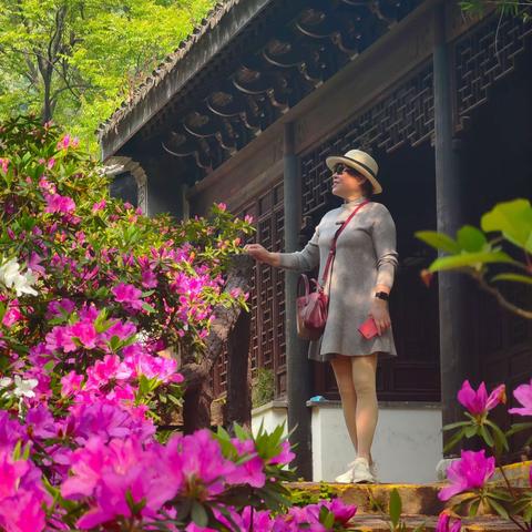 美景倩影