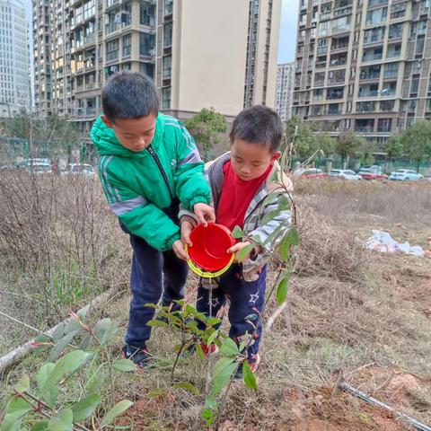 今天我植树-106班谭路煊