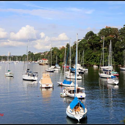 漫步悉尼莫斯曼海湾（Mosman Bay）