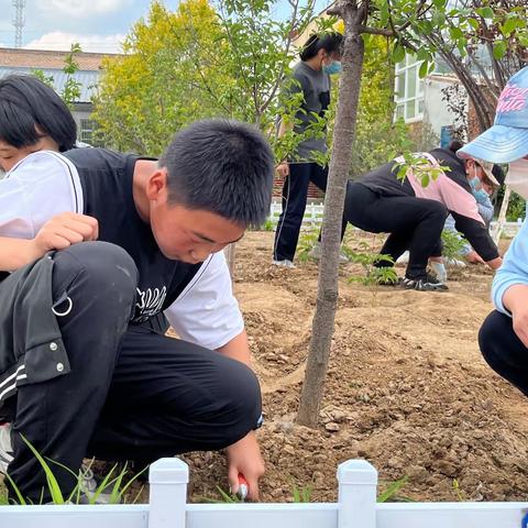 朝阳地小学修身课程之“朝耕·阳育·地泽”劳动教育课程系列纪实五🖐🏻️