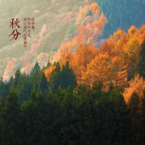 人间忽晚 山河已秋——落日余晖秋意浓（四三班的收获）