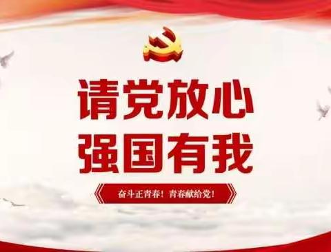 三亚市立才学校“请党放心，强国有我”主题活动